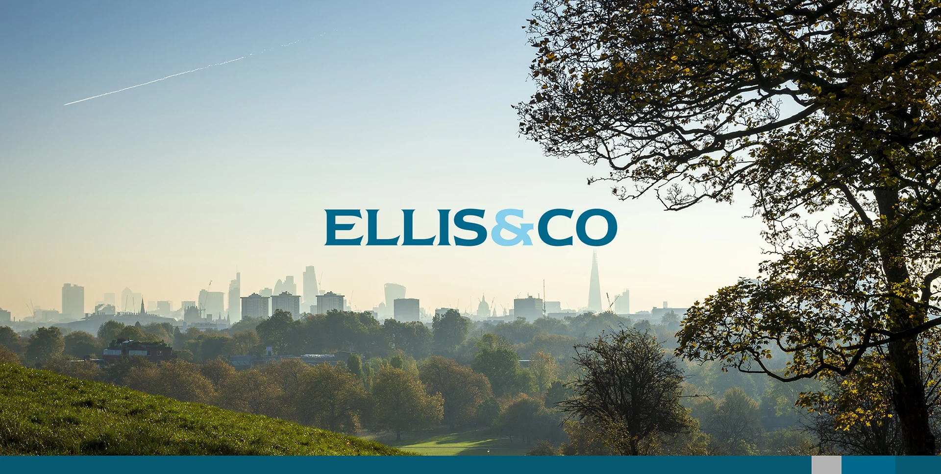 Ellis & Co