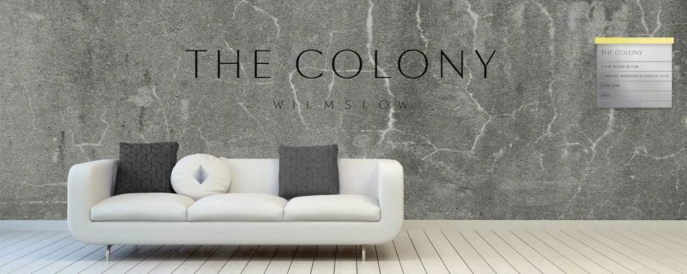 colony-image-2-992×397-1